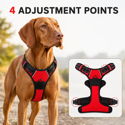 Ergonomisk hundesele – justerbar, slitesterk og komfortabel for alle hunder