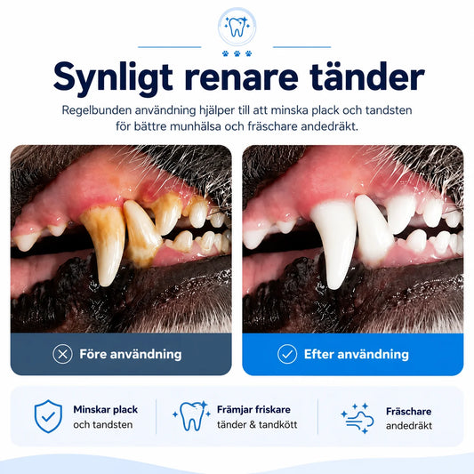 Ultralyd tannrenser for hunder og katter