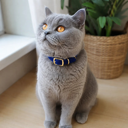 Kattehalsbånd med bjelle
