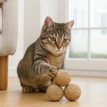 Kattleksak i Jutesnöre