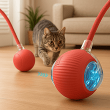 Interaktiv Boll för Katter