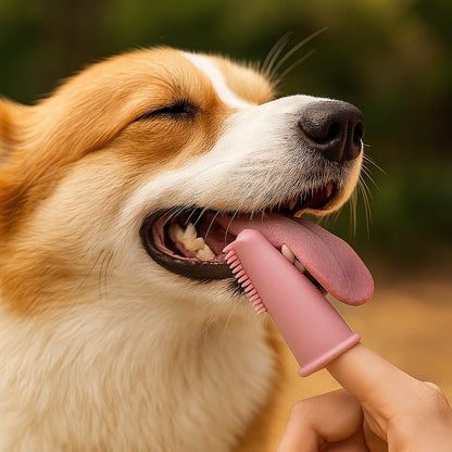Mjukt Silikon Finger - Tandborste för Hund & Katt