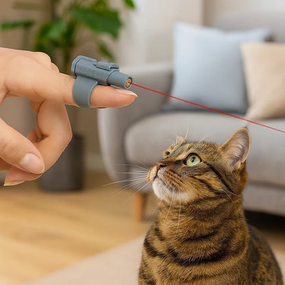 Mini Fingerlaser för Katter