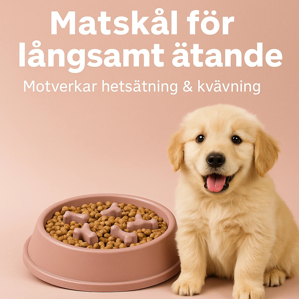 Hundskål Slow Feeder