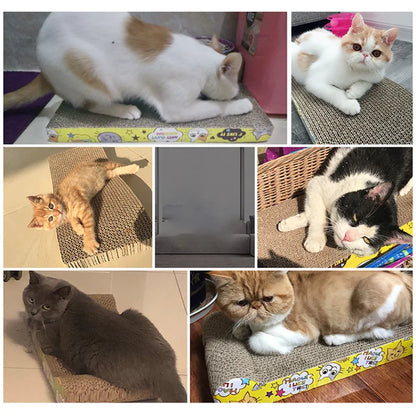 Kattskrapbräda i Bågform