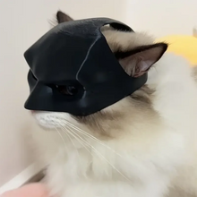 BatCat Mask