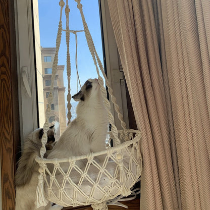 Hängande Kattgunga i Bomull