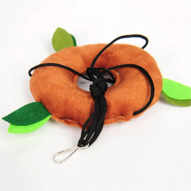 Hängmatta & tunnelsystem för smådjur