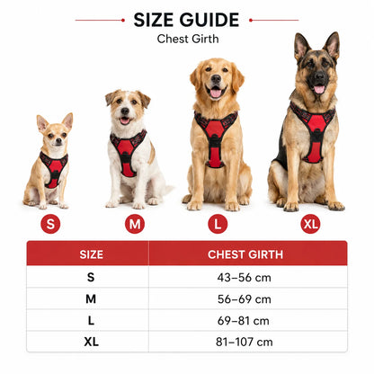 Ergonomisk hundesele – justerbar, slitesterk og komfortabel for alle hunder