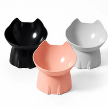 Höjd Kattmatskål med Lutande Design