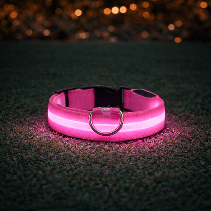 LED-halsbånd